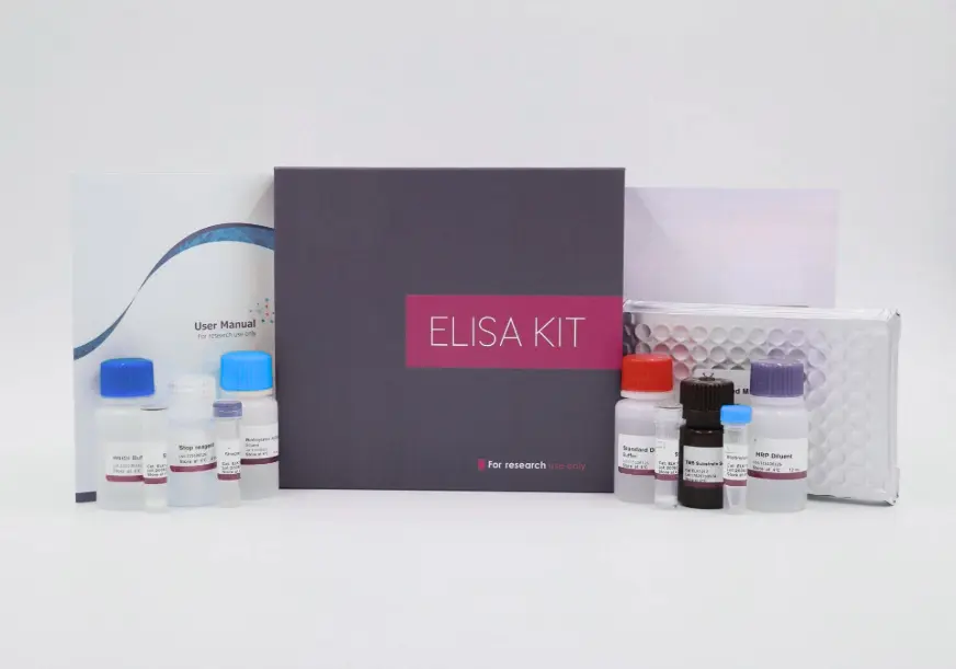 OPG ELISA Kit (Human Osteoprotegerin)