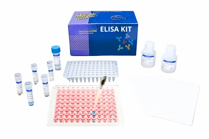 OxyStat Reactive Oxygen Measurement Kit