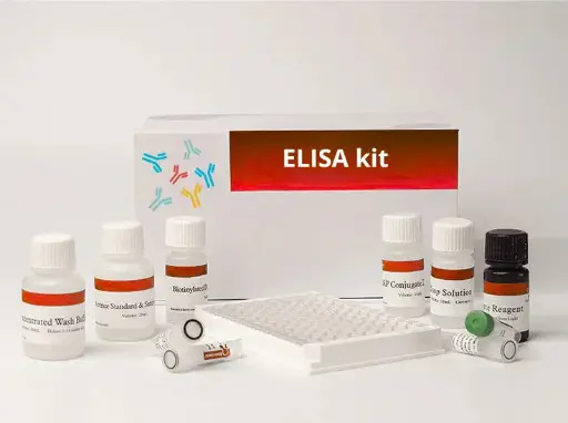 [HVUE-0001] Human Vanin-1 Urine ELISA Kit