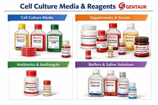 [FB-1001T/500] Fetal Bovine Serum (South America) . Tetracycline free - 500ml