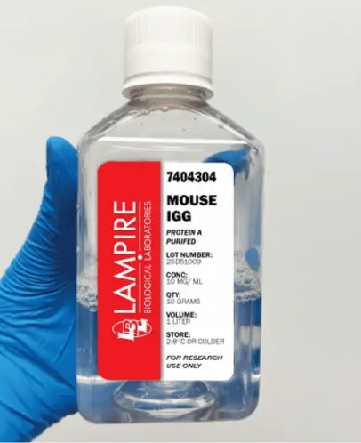 Mouse IgG Protein A Purified